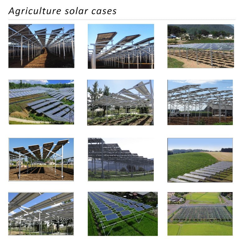 PV Ground Mounts Structure case PV Ground Mounts Structure case